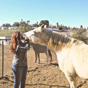 Meet your Posher, Roxanne